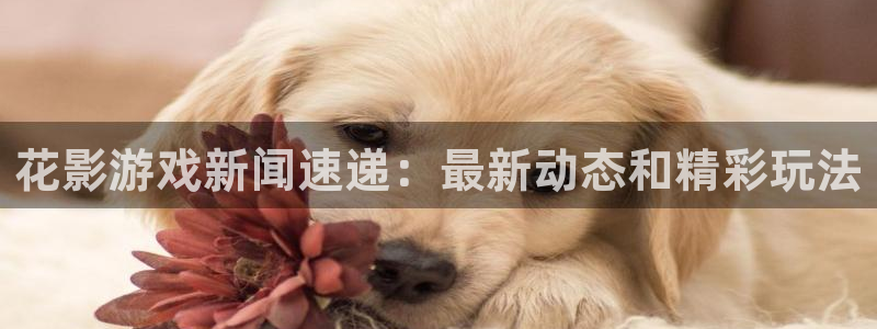星欧娱乐平台登录线路：花影游戏新闻速递：最新动态和精彩玩法