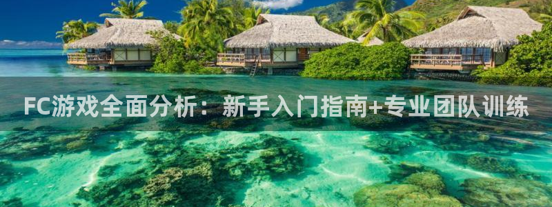 星欧娱乐平台官网入口：FC游戏全面分析：新手入门指南+专业团