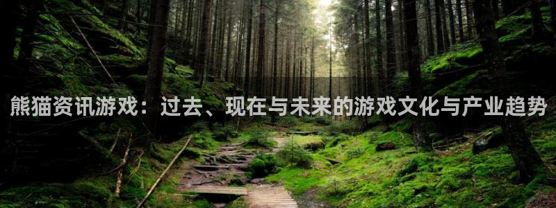 星欧娱乐注册开户：熊猫资讯游戏：过去、现在与未来的游戏文化与