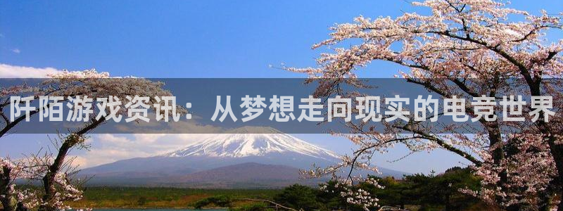 星欧娱乐网址官网：阡陌游戏资讯：从梦想走向现实的电竞世界