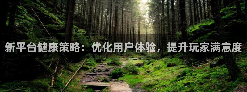 星欧娱乐登陆测速：新平台健康策略：优化用户体验，提升玩家满意