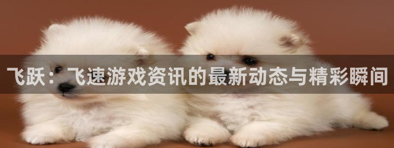 星欧娱乐升级5994月：飞跃：飞速游戏资讯的最新动态与精彩瞬