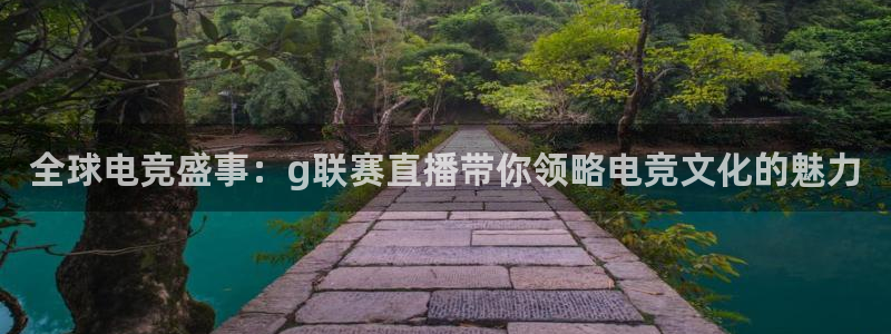 火凤斗球直播体育：全球电竞盛事：g联赛直播带你领略电竞文化的魅力