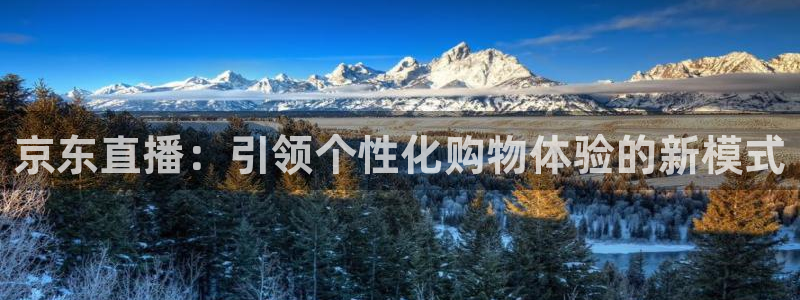 nba直播火凤直播：京东直播：引领个性化购物体验的新模式