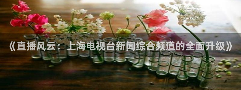 火凤体育直播高清入口：《直播风云：上海电视台新闻综合频道的全面升级》