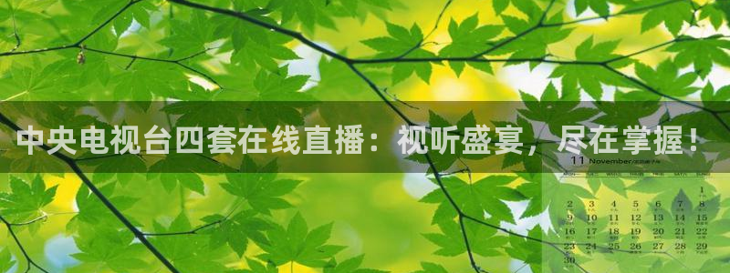 火凤足球直播在线观看：中央电视台四套在线直播：视听盛宴，尽在掌握！