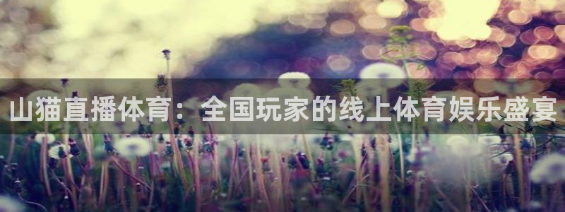 nba火凤体育免费直播：山猫直播体育：全国玩家的线上体育娱乐盛宴