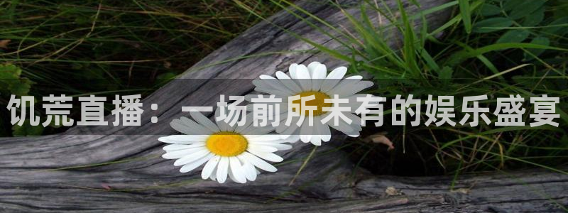 火凤直播体育直播：饥荒直播：一场前所未有的娱乐盛宴
