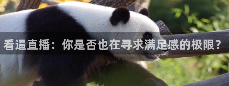 火凤体育直播免费比赛：看逼直播：你是否也在寻求满足感的极限？