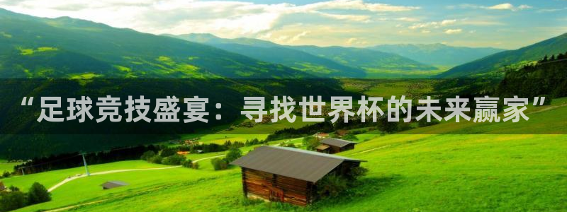 火凤体育直播