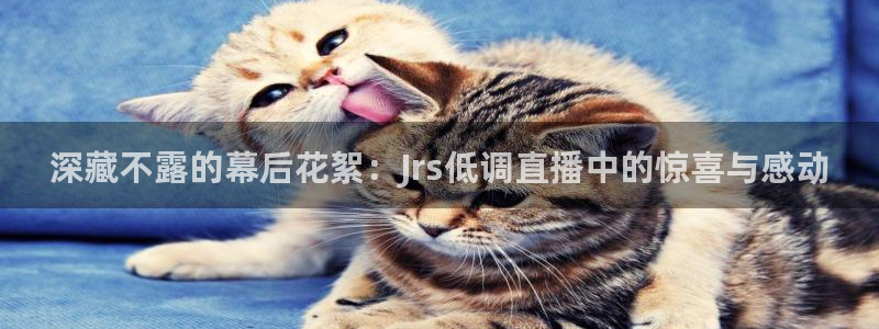 火凤体育免费直播入口