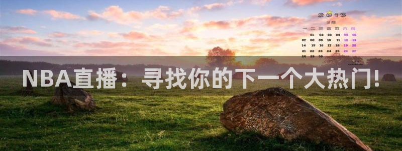 火凤体育：NBA直播：寻找你的下一个大热门!
